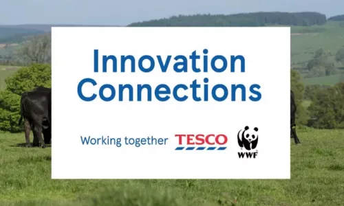 Tesco WWF